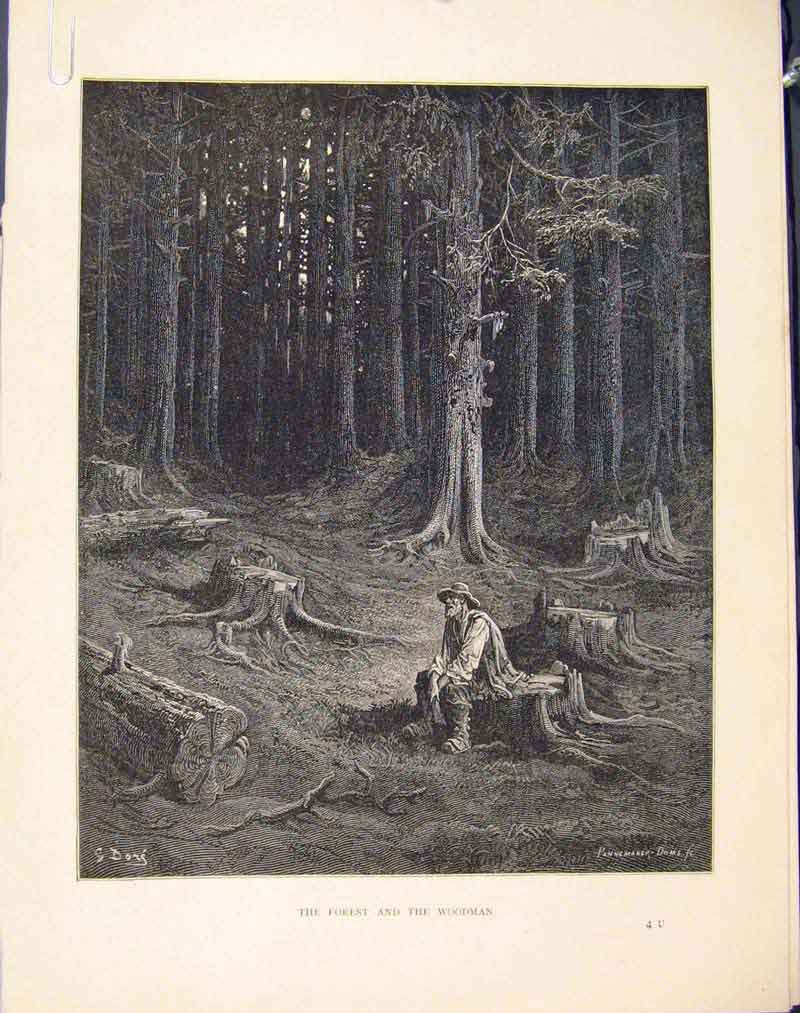 Original Old Antique Print Forest Woodman Story Image C1868 Aesop Fable 19th