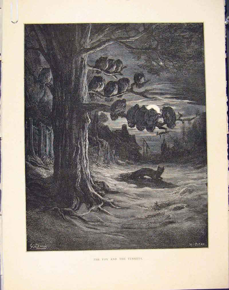 Original Old Antique Print Fox Turkeys Story Images Aesop Fable Ccxxix