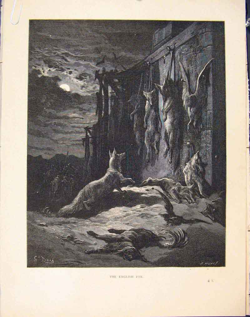 Original Old Antique Print English Fox Aesop Fable C1868 Story Art Image 19th