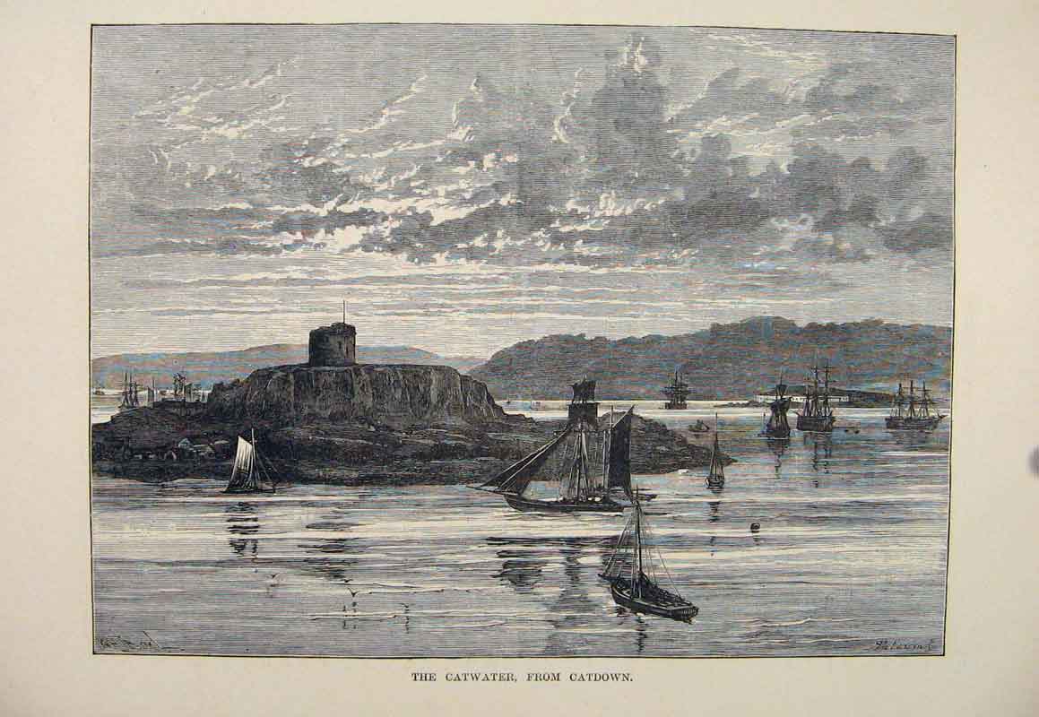 Original Old Antique Print Catwater Catdown Fine Art C1878 19th