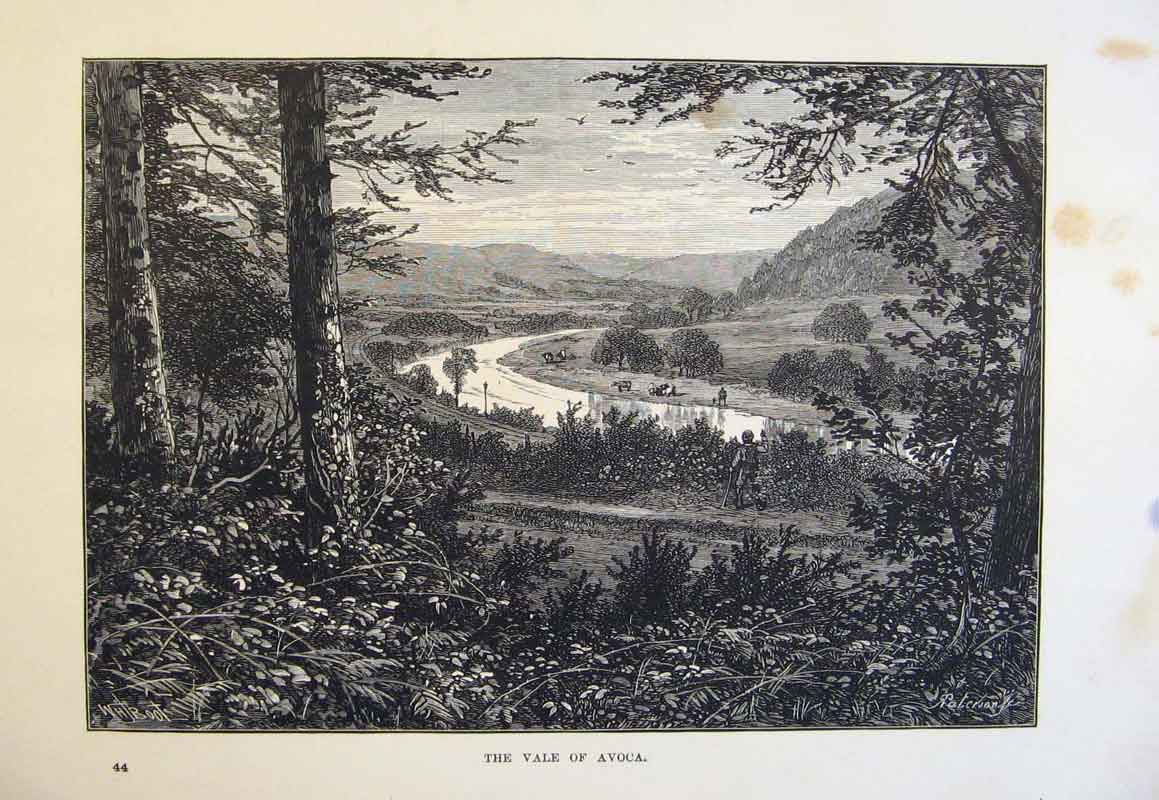 Original Old Antique Print Vale Avoca Fine Art England C1878 19th
