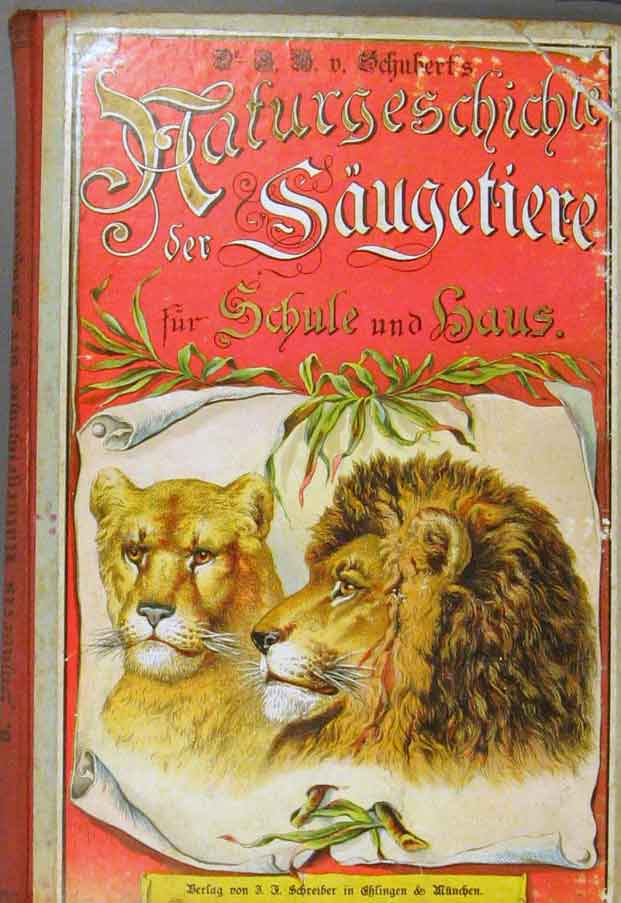 Original Old Antique Print Lion Lioness Book Cover German Color
