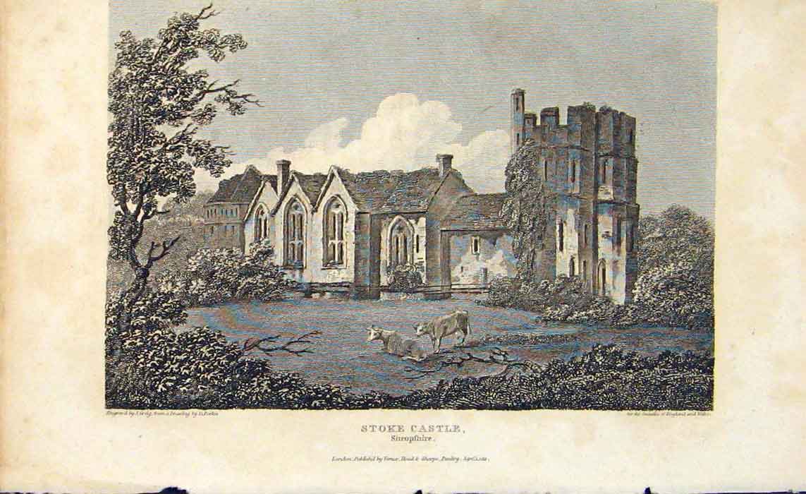 Original Old Antique Print Stoke Castle England Art Shropshire