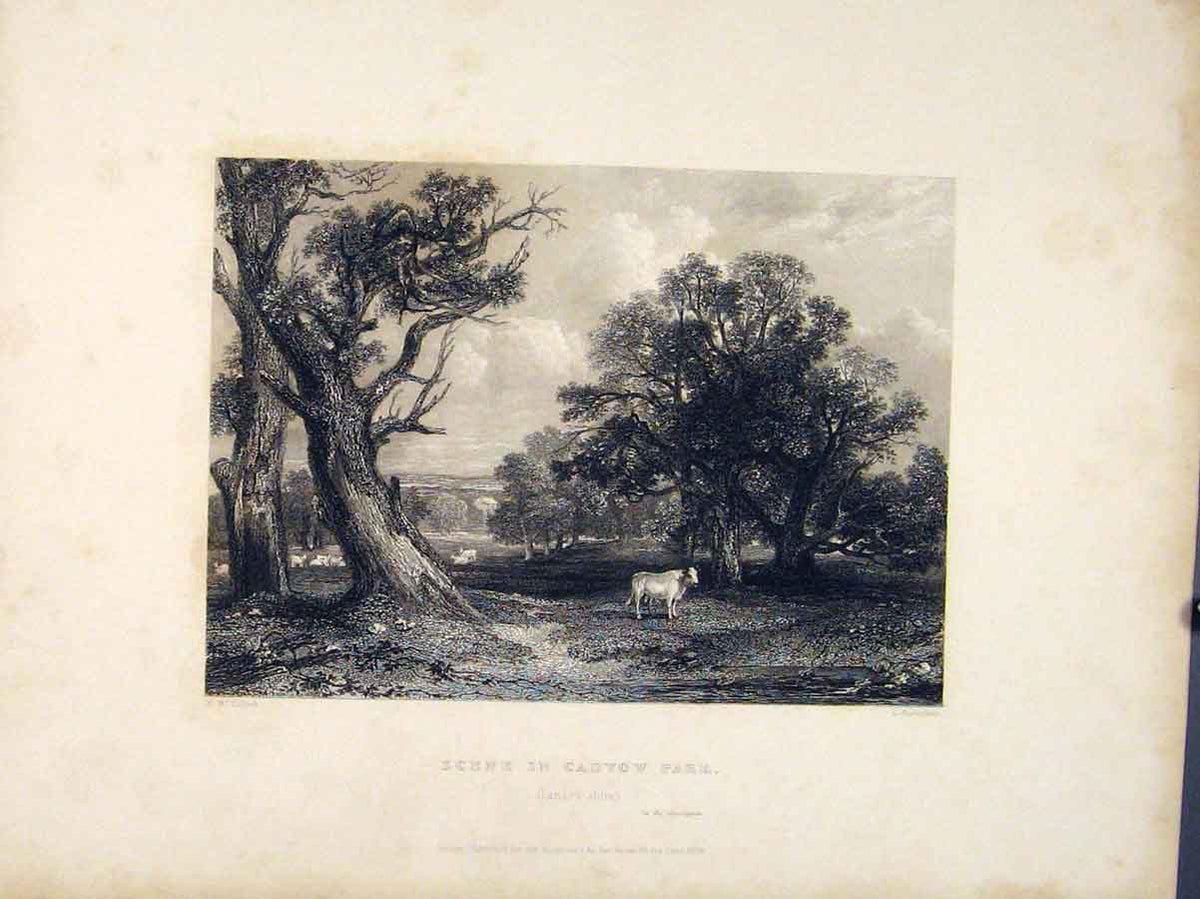 Original Old Antique Print Scene Cadyow Park Lanarhshire Scotland