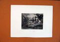 Original Old Antique Print C1850 Anglers Fish Fishing Man Lady River Bank 19th