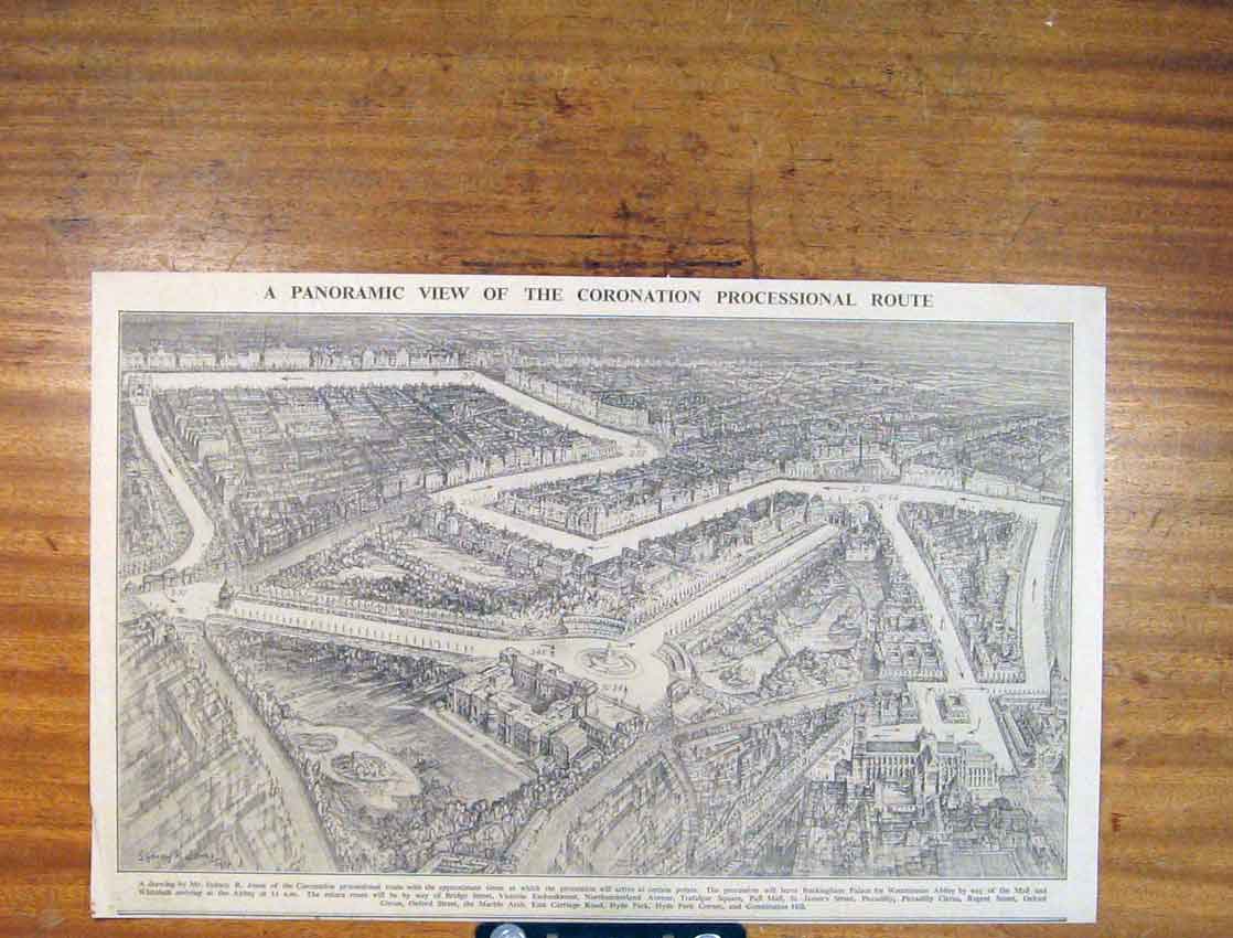 Original Old Antique Print Panoramic Coronation Processional Route