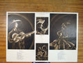 Original Old Vintage Print Shadow Pictures Serenade Senorita Nuts C1930 20th