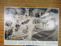 Original Old Antique Print Natural History Animals Birth Young Fine Art