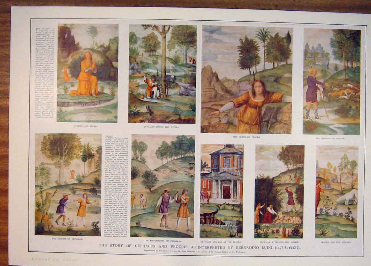 Original Old Antique Print Nermadomp ;Iomo Ce[Ja;Is Procris Story C1532