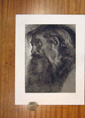 Original Old Antique Print Fine Art Mans Portrait C1901 Face 20th