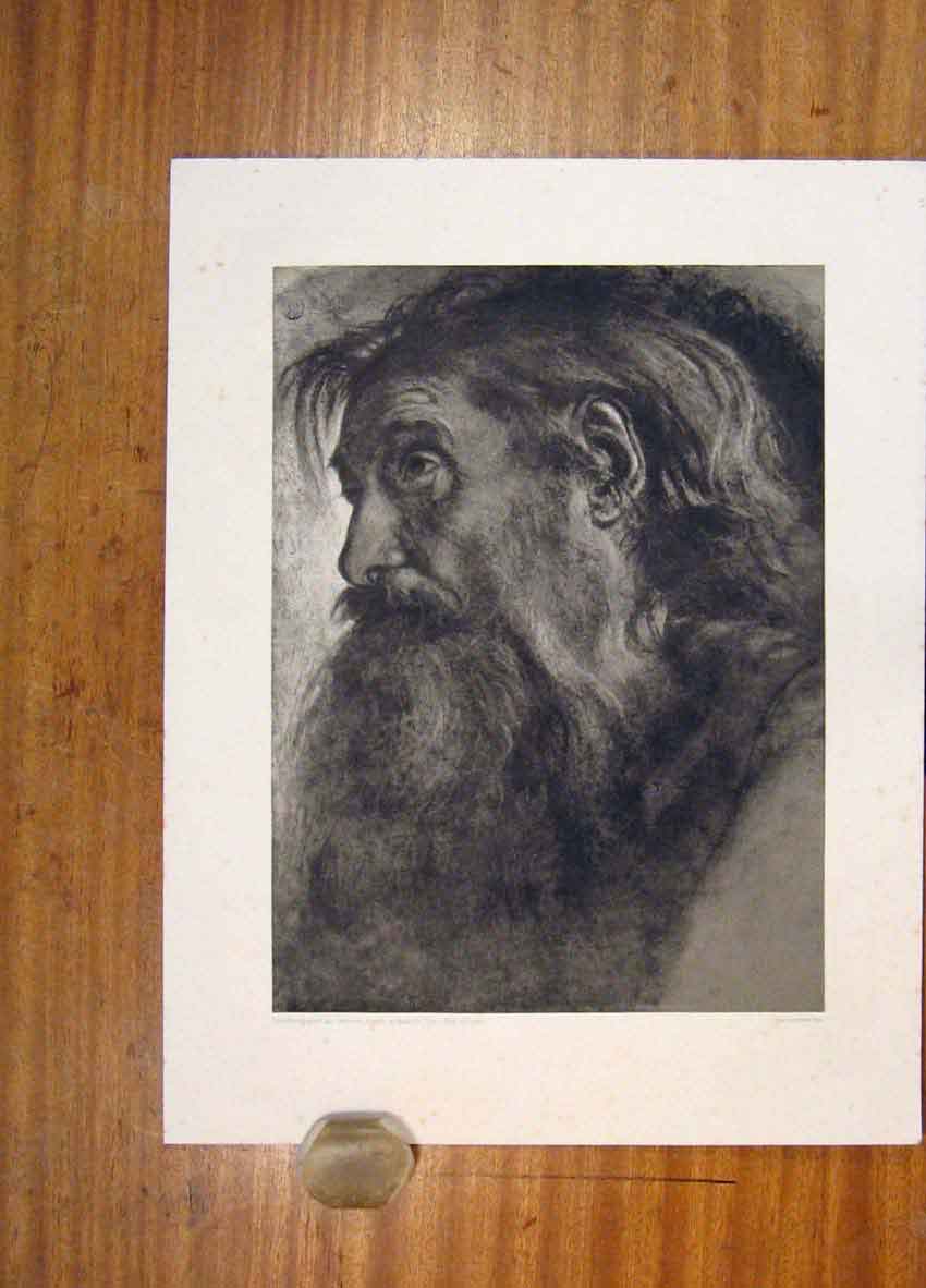 Original Old Antique Print Fine Art Mans Portrait C1901 Face 20th