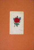Original Old Antique Print C1909 Rose Painting Sketch Drawing Color Fine Art
