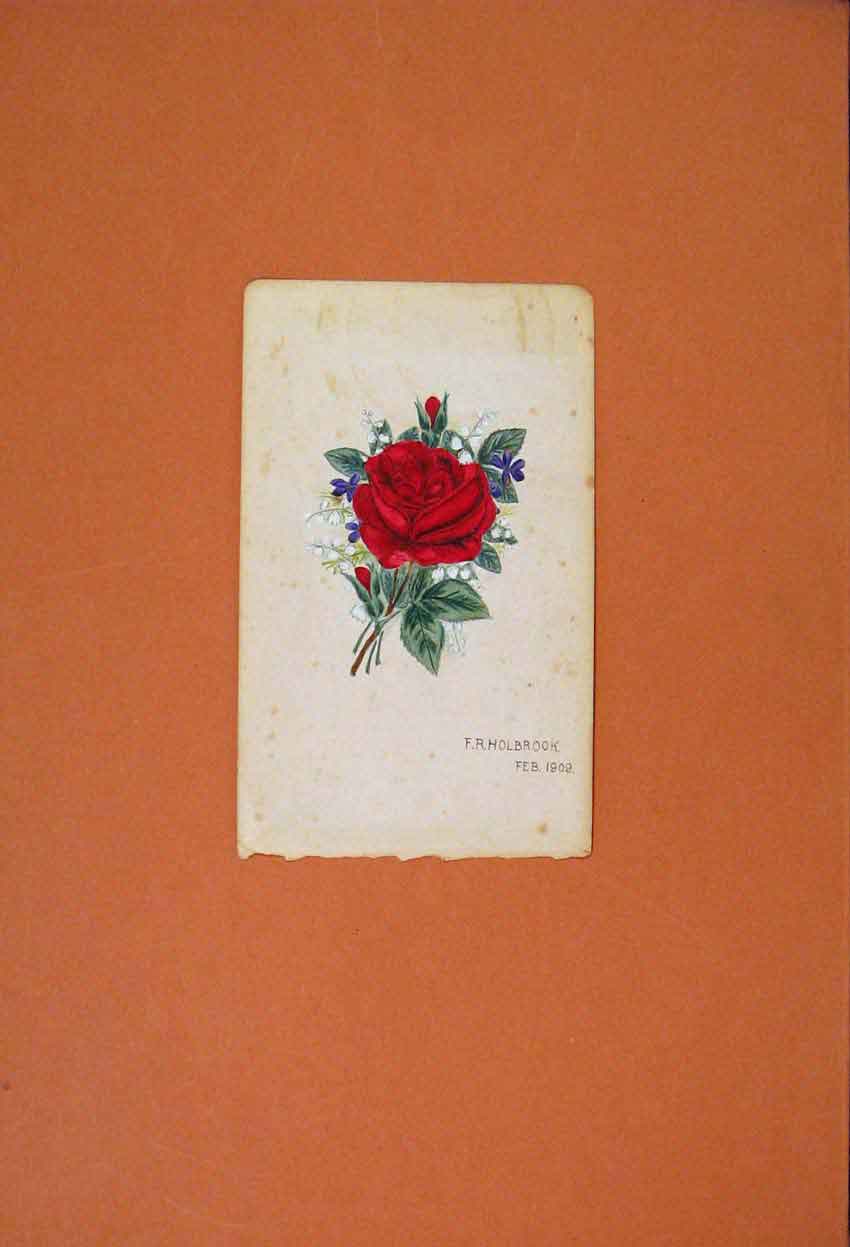 Original Old Antique Print C1909 Rose Painting Sketch Drawing Color Fine Art