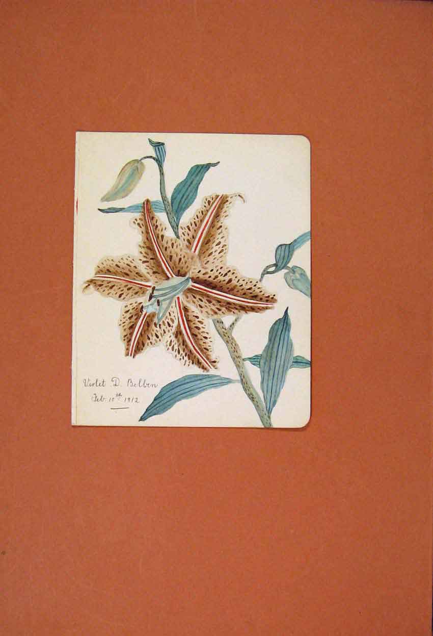 Original Old Antique Print Violet C1912 Watercolor Fine Art C1881 Color 20th