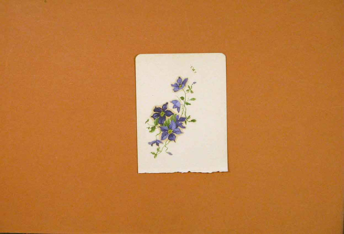 Original Old Antique Print Oil Paint Color Fine Art Lavender Flower Drawin