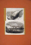 Original Old Antique Print Isle White St John Needles Drawing Art