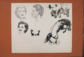 Original Old Antique Print Sketch Drawing Horse Lady Cat Animal Fine Art