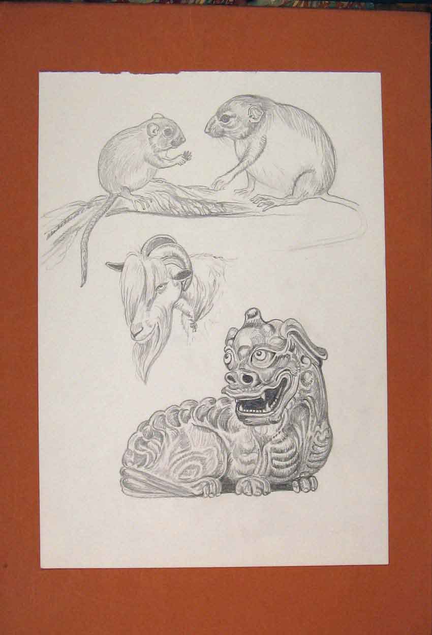 Original Old Antique Print Dragon Bull Rat Mouse Sketching Drawing Fine Art
