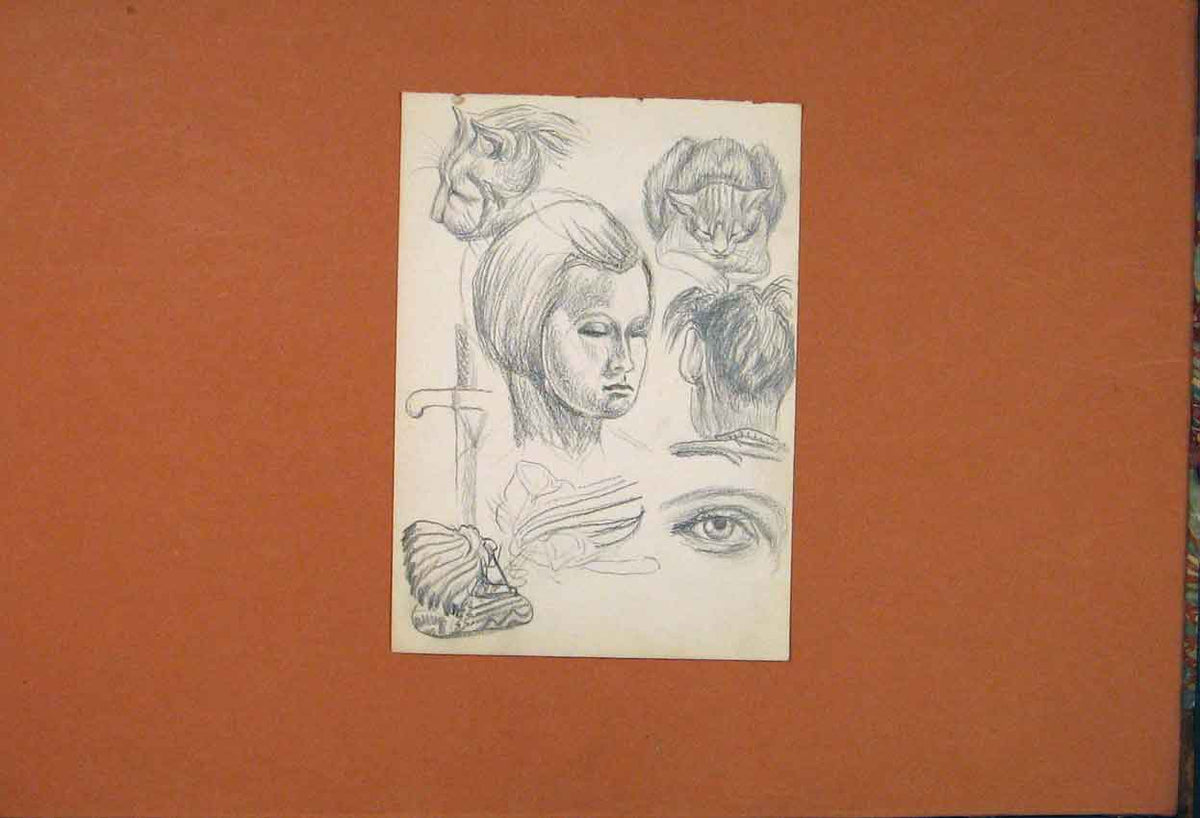 Original Old Antique Print Cat Felin Pet Animal Femal Lady Sketch Eye Fine Art