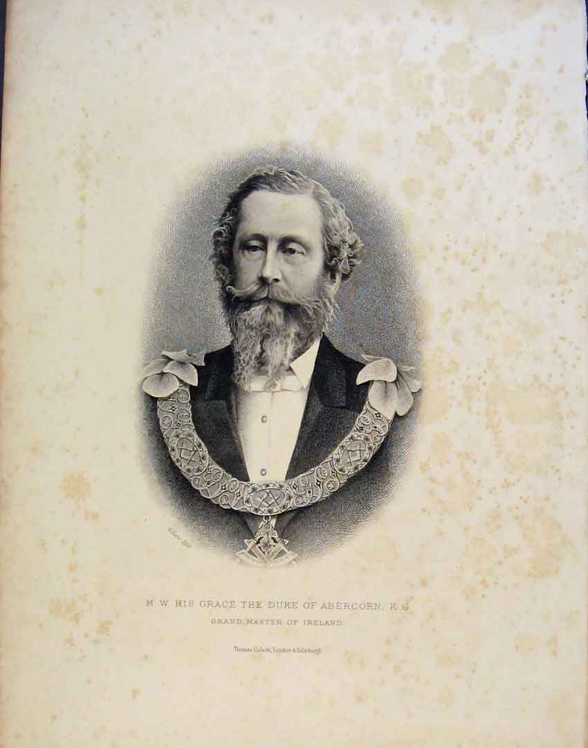 Original Old Antique Print Grace Duke Abercorn Portrait Ireland