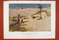 Original Old Antique Print Cross Dunes Master Dog British David Murrary