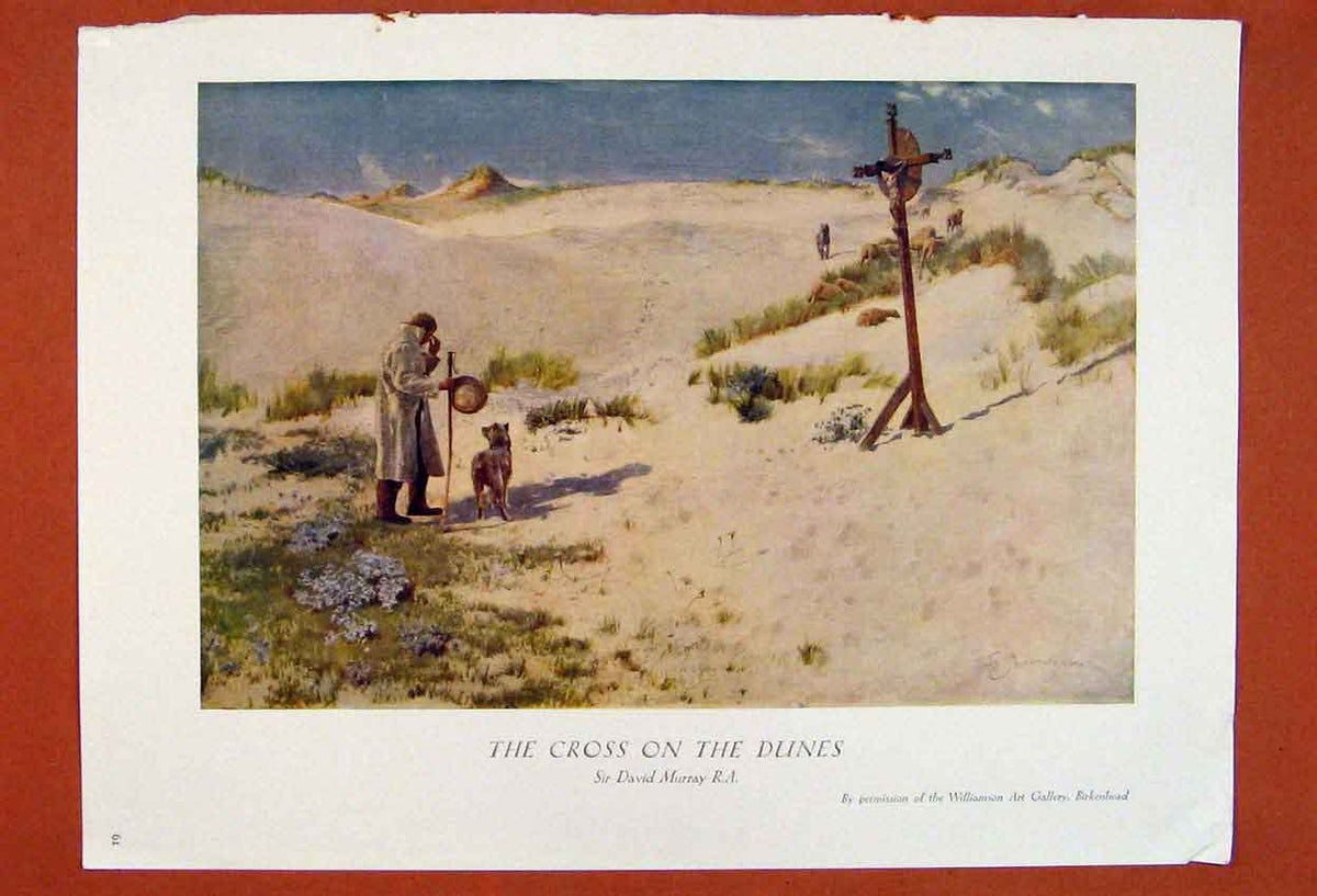 Original Old Antique Print Cross Dunes Master Dog British David Murrary