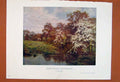Original Old Antique Print Hawthorn Blossoms British Waite Art