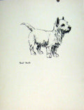 Original Old Vintage Print Pencil Sketch Dog Fine Art Hound Drawing C1936 Pet