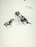 Original Old Antique Print Fine Art C1936 Sketch Dog Hound Drawing Pet Animal