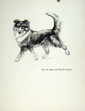 Original Old Antique Print Art C1936 Lassie Dog Hound Pencil Sketch 20th Century