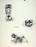 Original Old Antique Print Begging Dog Pet Animal Home Sketch Drawing Fine Art