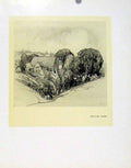 Original Old Antique Print English Combe Fine Art Somerset C1927 Village 20th
