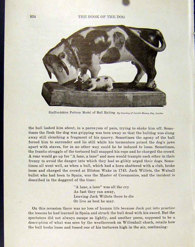 Original Old Antique Print Staffordshire Pottery Model Bull Baiting Art