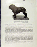 Original Old Vintage Print Bronze Model Bulldog Fine Art C1940 Hound Pet 20th