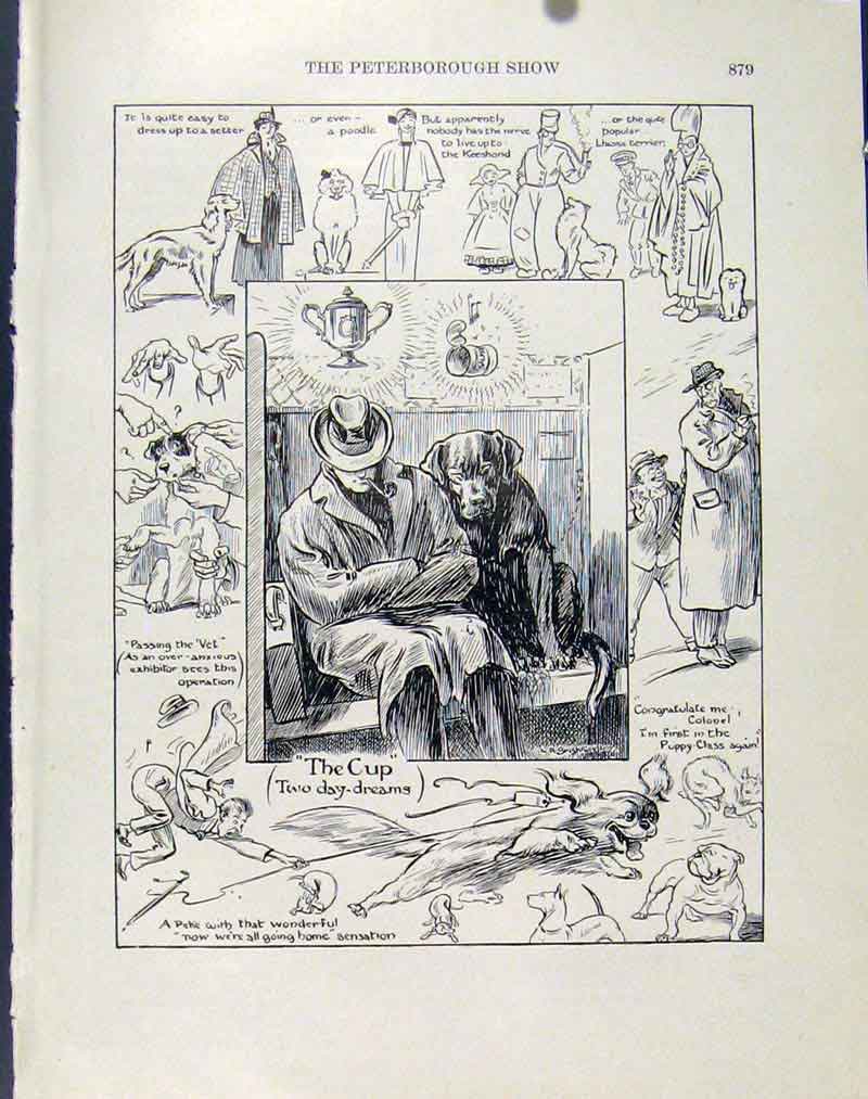 Original Old Antique Print Peterborough Show Dog Hound Pet Fine Art