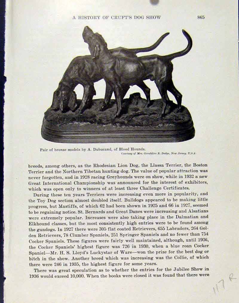 Original Old Antique Print Bronze Models Blood Hounds Rottweiler Dog 18th