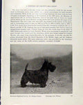 Original Old Vintage Print Scotslands Highland Terrier Photo C1940 Art 20th