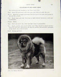 Original Old Antique Print Famous Popular Dog Hound Pet Animal Chow