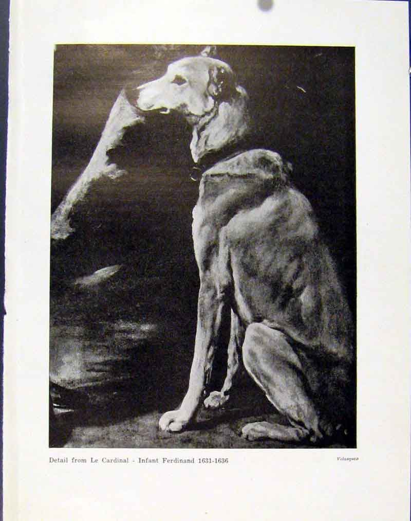 Original Old Antique Print Le Cardinal Infant Ferdinand Dog Hound Pet Animal