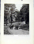 Original Old Vintage Print Kennel Club Retriever Dog Trail C1940 Art 20th