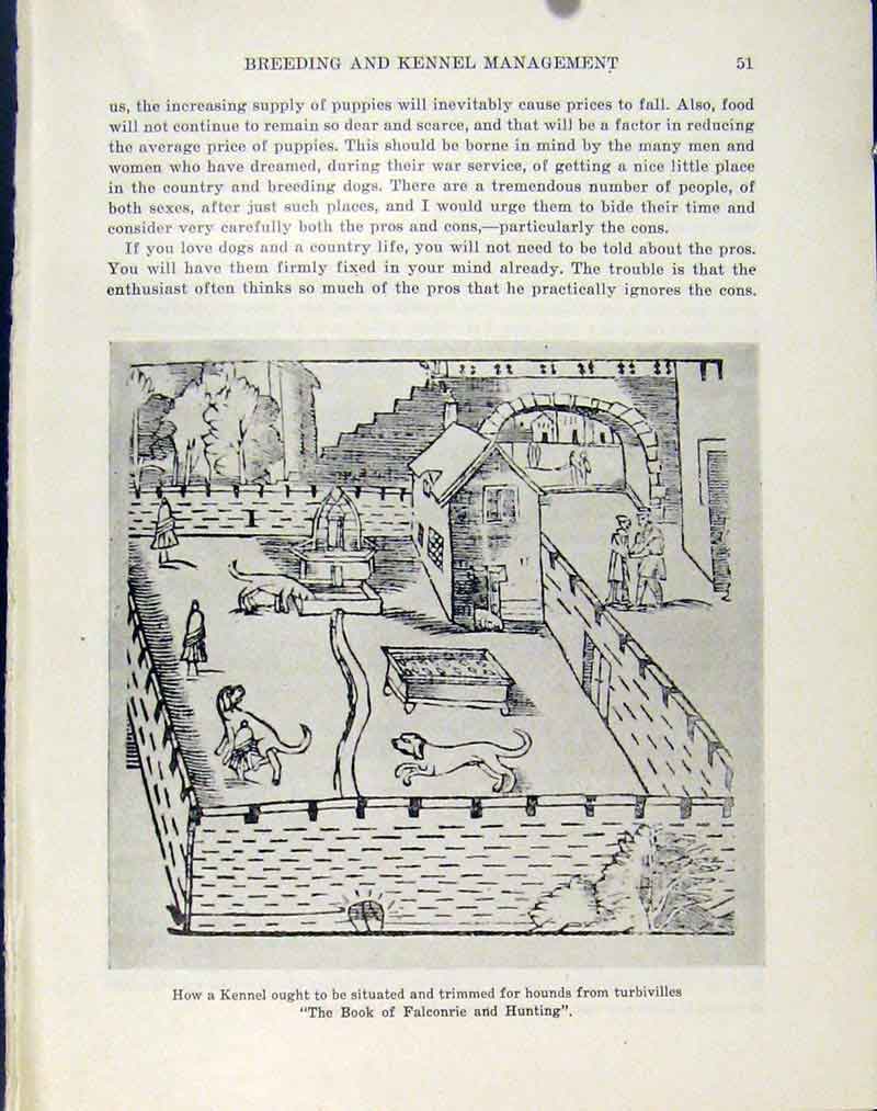 Original Old Vintage Print Kennel Gaston Phoebus Plan Design C1940 Photo 20th