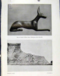 Original Old Antique Print Sporting Breeds Cunobeline Coingems Greyhound Bas