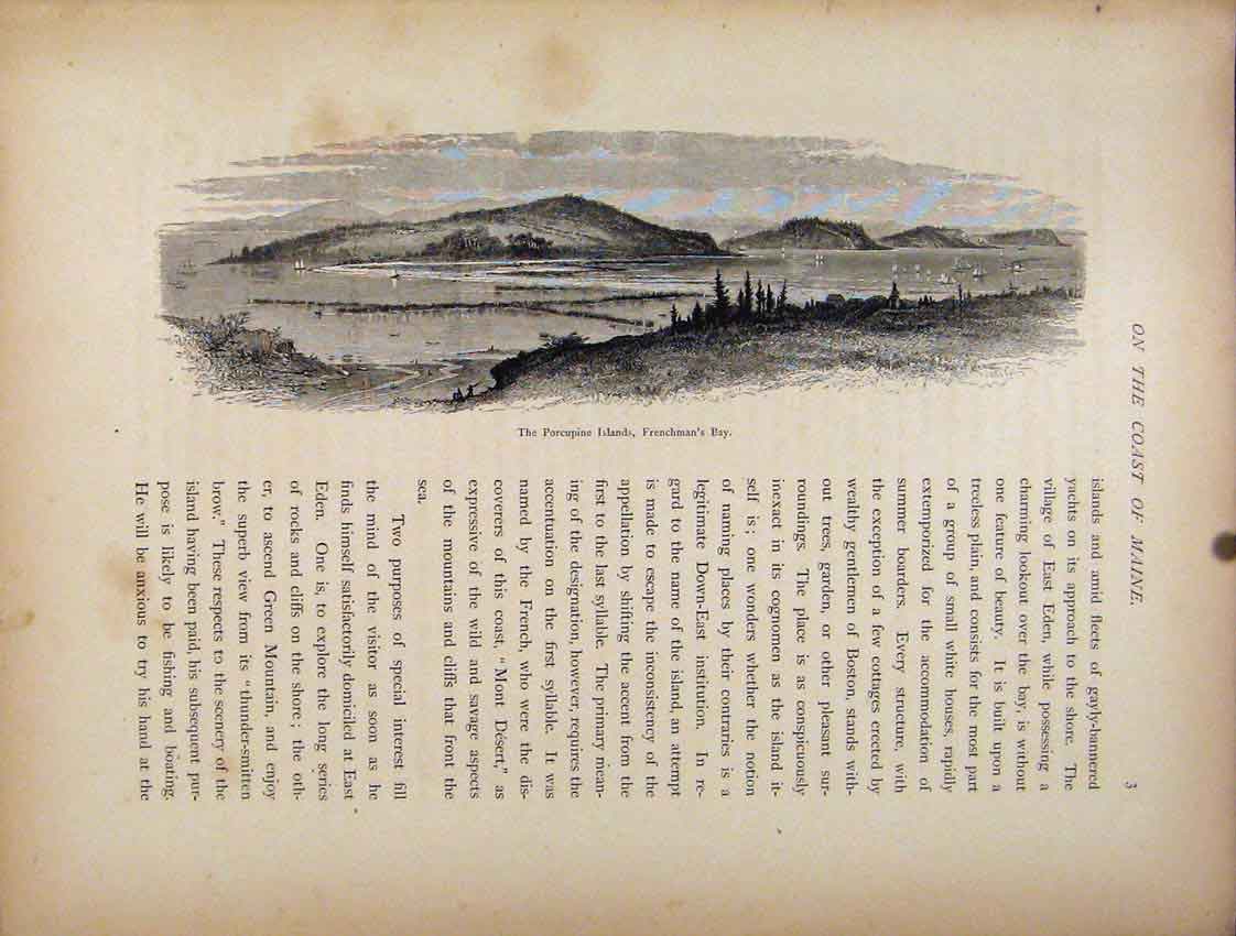 Original Old Antique Print Engraved Art C1872 Porcupine Islands Frenchmans Bay