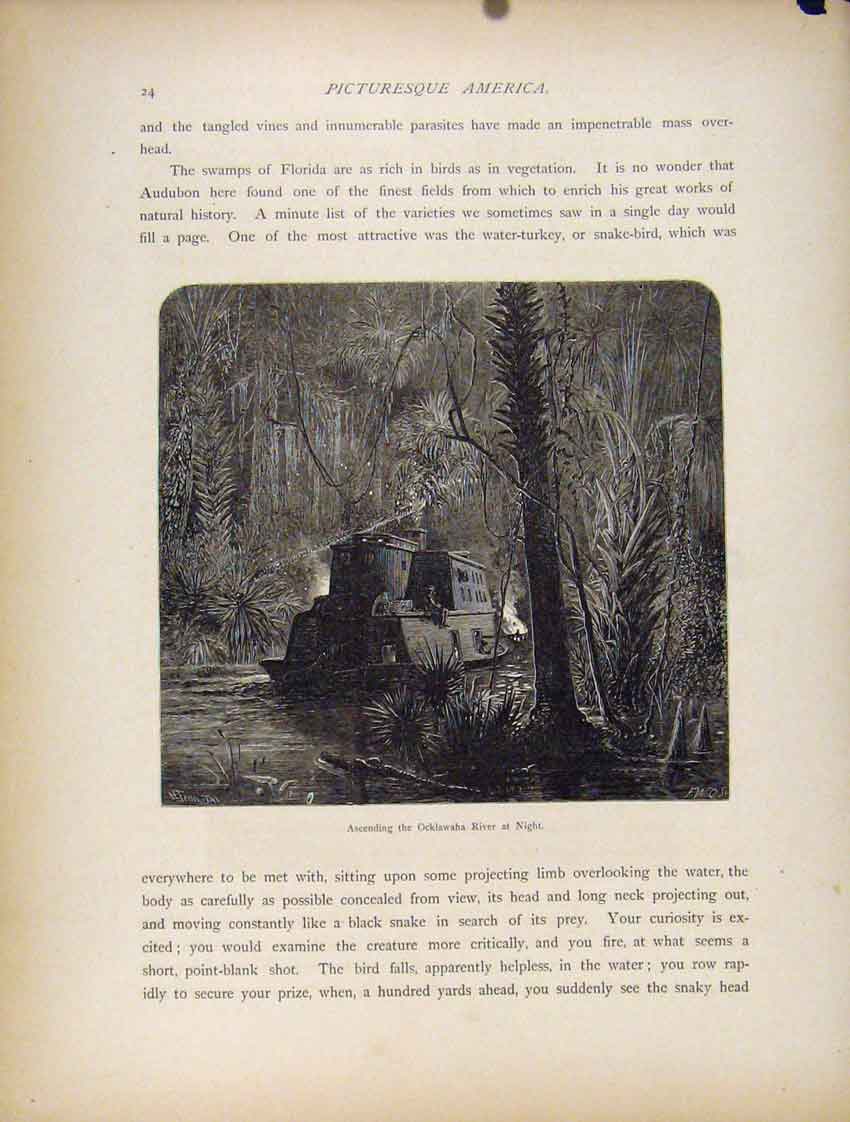 Original Old Antique Print Ocklawaha River Night Wood Engraved Fine Art