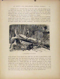 Original Old Antique Print Ocklawaha C1872 Wood Engraving Fine Art Victorian