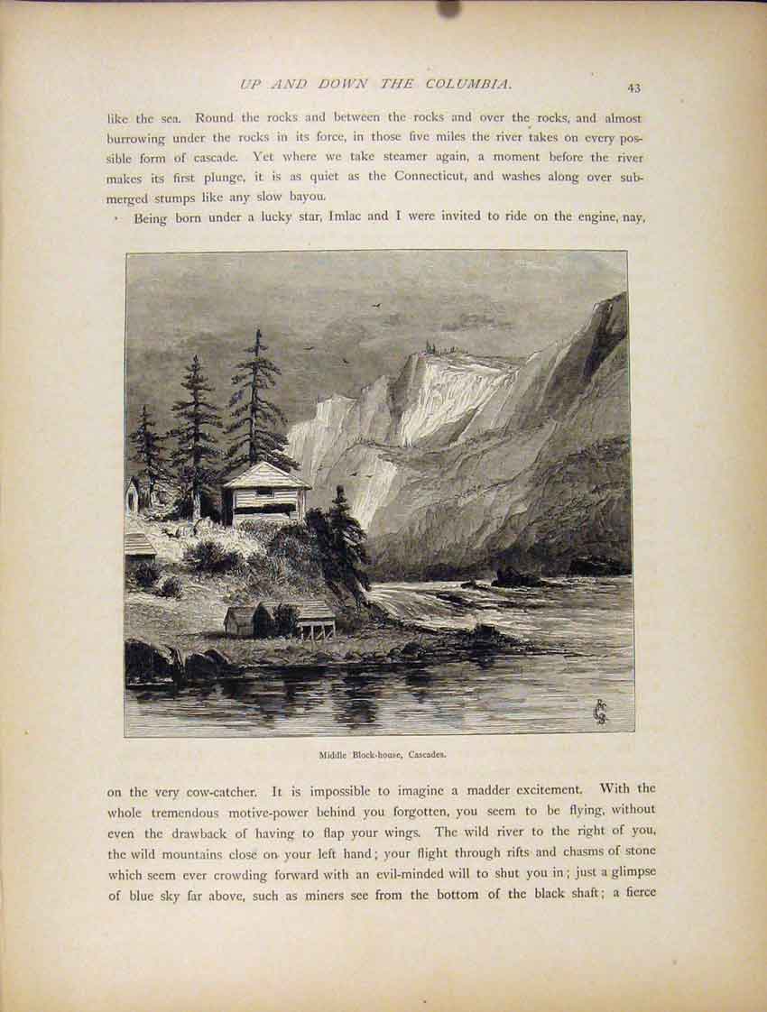 Original Old Antique Print Salmon Falls Wood Engraving Fine Art 1872 Victorian
