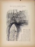 Original Old Antique Print Natural Bridge Virgina America Wood Engraved