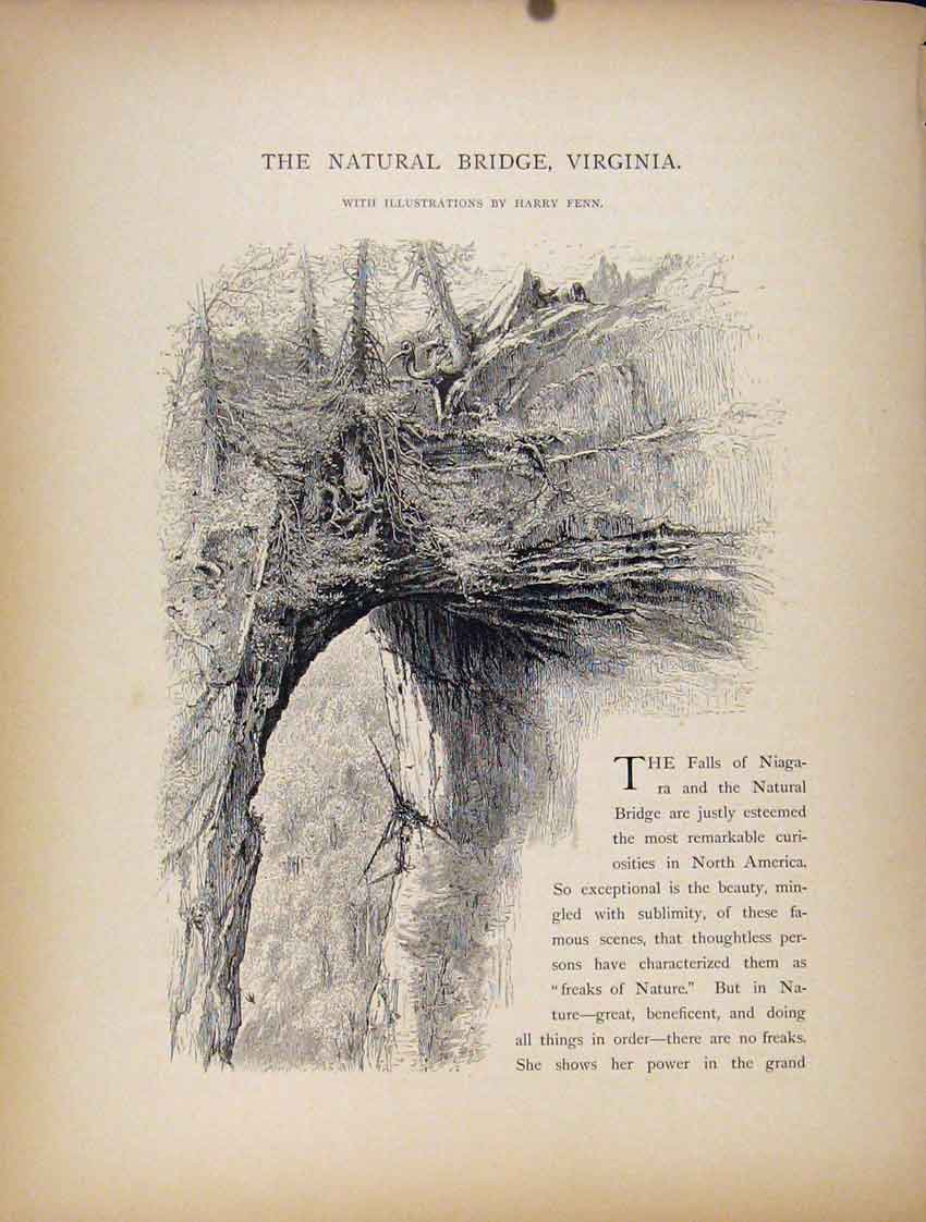 Original Old Antique Print Natural Bridge Virgina America Wood Engraved