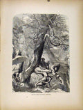 Original Old Antique Print Natural Bridge Fine Art C1872 Man Lady 19th