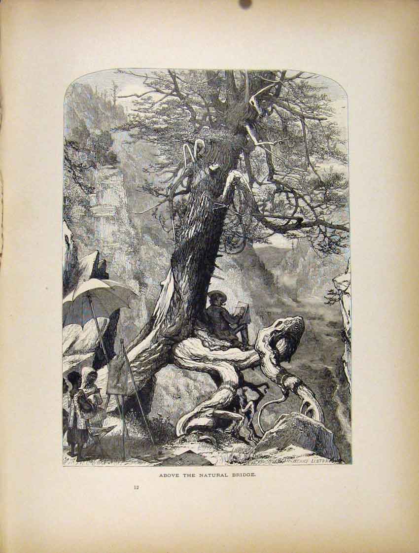 Original Old Antique Print Natural Bridge Fine Art C1872 Man Lady 19th